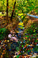 LANDSCAPES