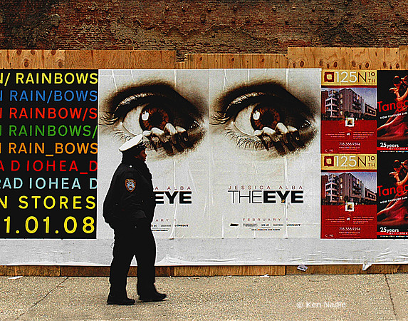 The eye