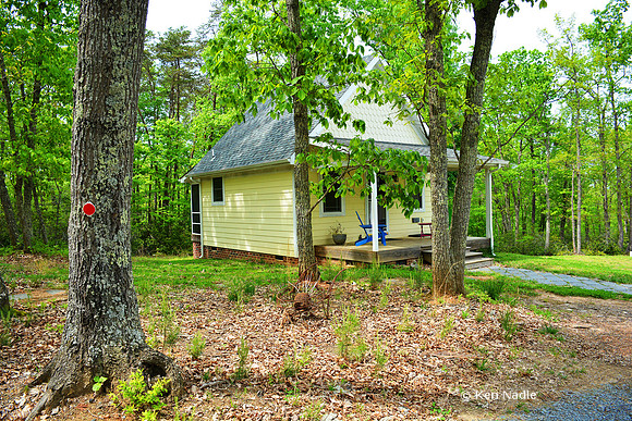Woodland Cottage
