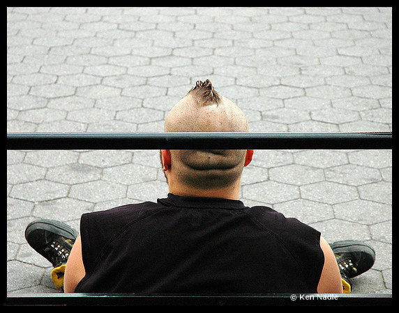 Tiny Mohawk