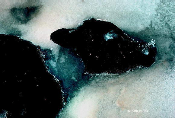 Last breath frozen